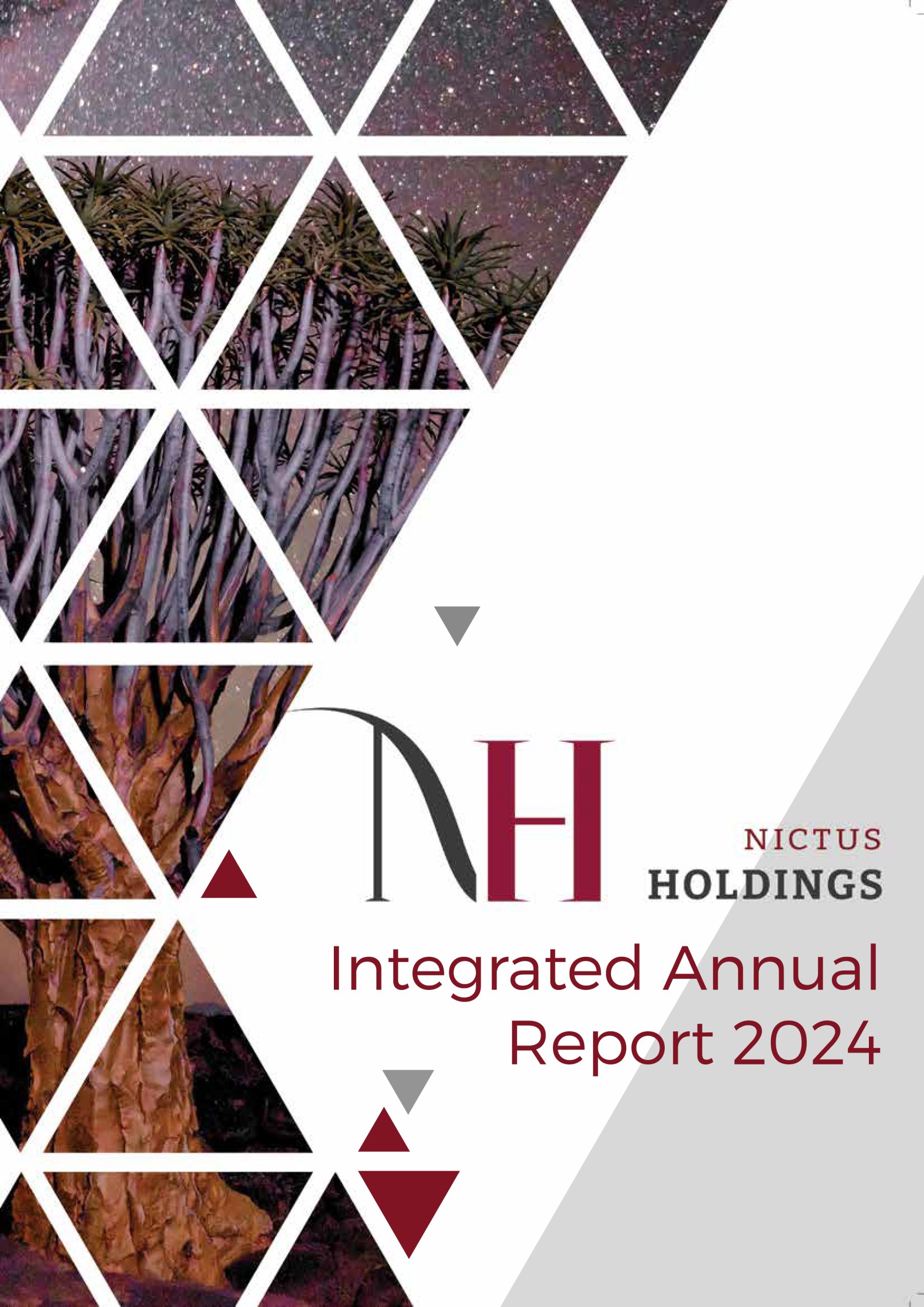 Integrated Annual Report 2024-01