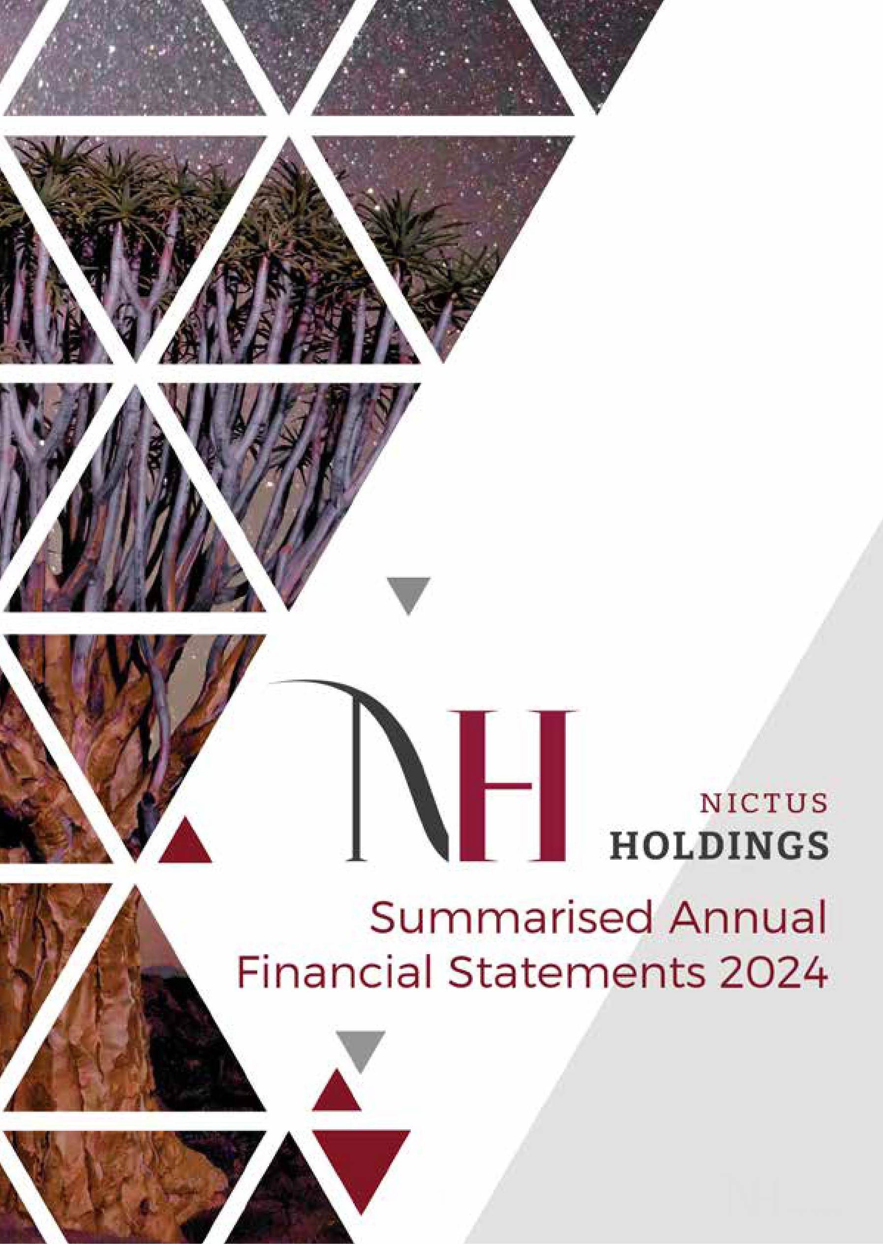 Summarised annual financial statements 2024-01